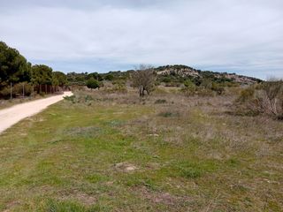 Fondo rustico  Camino barzales