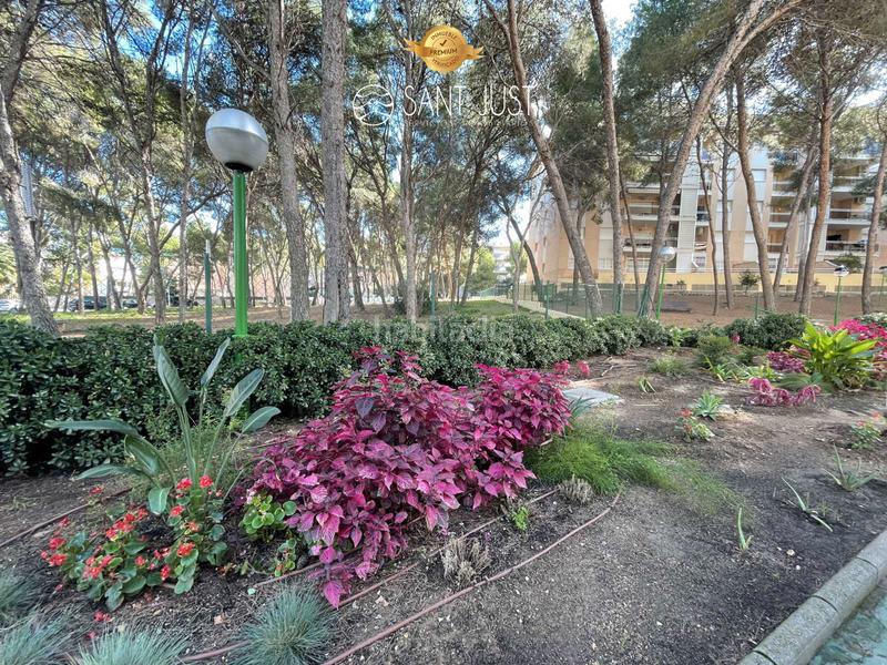 Foto cb98d629-f250-453e-9d72-79d964783505. Apartament a carretera de la costa 80 a pla de maset - cap de Salou Salou