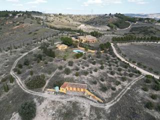 Masia  Diseminado valdegrande