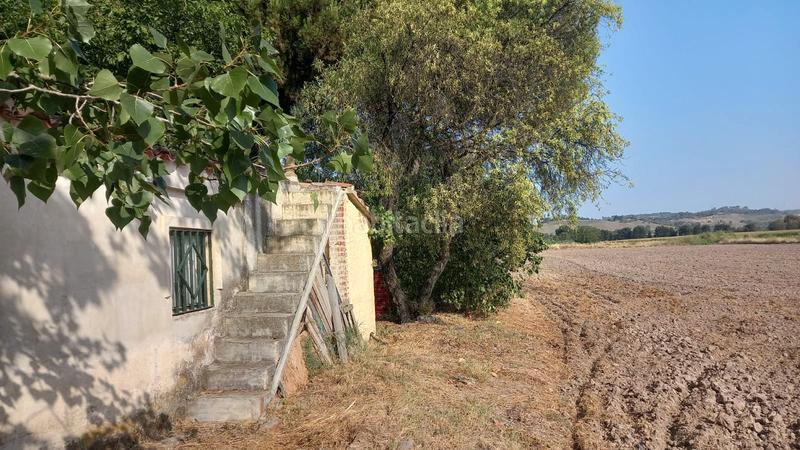 Foto 606b2de2-9659-49cc-95a3-89d3d6ca0f7f. Finca rústica  con vivienda en venta en Chinchón