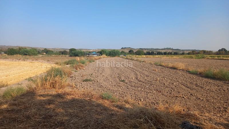 Foto e137db20-ab4f-44f1-9012-baafbac822a0. Finca rústica  con vivienda en venta en Chinchón