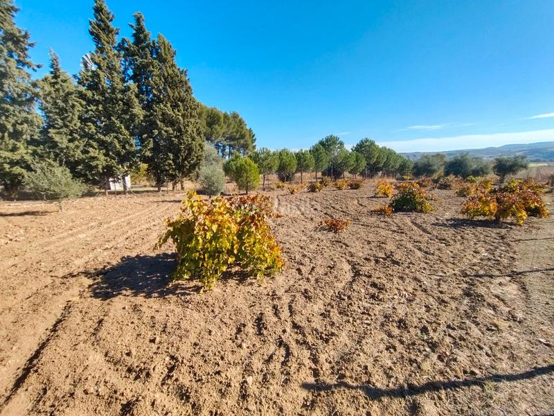 Foto 08c4bd28-c316-473e-a425-7cdbf189d670. Bauernhof mit kamin in Chinchón