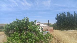 Casale  Diseminado vega chinchon. Parcela rústica con vivienda en venta en chinchón