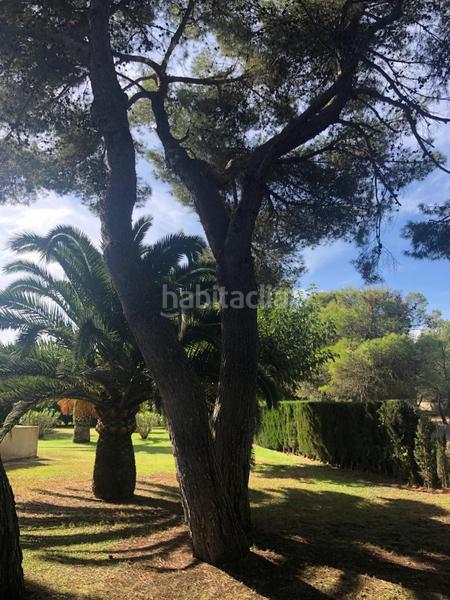 Foto dd489d86-6818-4a55-b1d6-92ecaaf29fb2. Appartement dans Maioris-Puig de Ros Llucmajor
