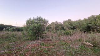 Terrain résidentiel à Artà Poble