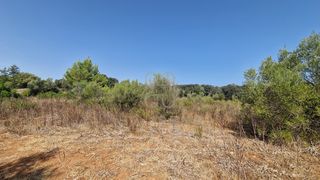 Terreno residenziale in Artà Poble. Parcela rústica a pocos minutos de artá para chalet unifamiliar.