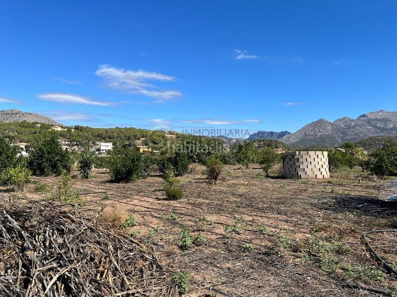 Foto 83e54ed5-d1a6-4e37-ab46-62b4b2c8f4c5. Terrain résidentiel dans Polop