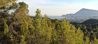 Terreny residencial a Altea la Vella. Magnífica parcela urbana en altea la vella con proyecto visado