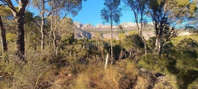 Foto ed3a9727-da76-43a4-a81b-29353a0fe5c3. Terreno residenziale in Altea la vella Altea