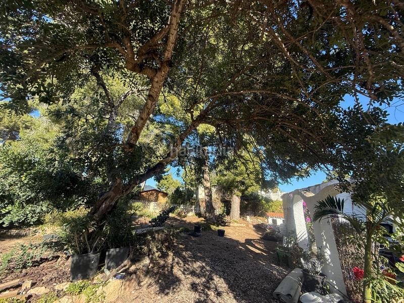 Foto 4abf6e07-43ec-4d03-9807-6e207c0f6212. Terreno residenziale in Coloma Nucia (la)