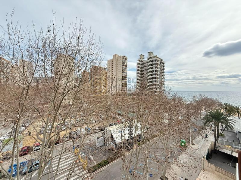 Foto 6e102033-40ea-4253-984d-ba52dcab10ef. Rent flat with heating parking pool in Playa Levante Benidorm