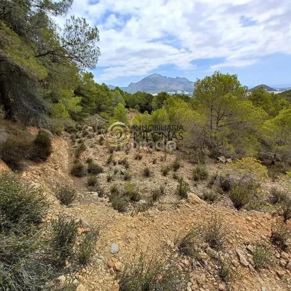 Foto 1b1524d2-9f81-4f6a-899d-2f5fb9c963d0. Terreno residencial parcela en venta en Polop