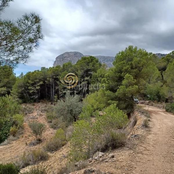 Foto 26f9b959-dba7-4384-8cbd-b2752b1fda0f. Terreno residencial parcela en venta en Polop