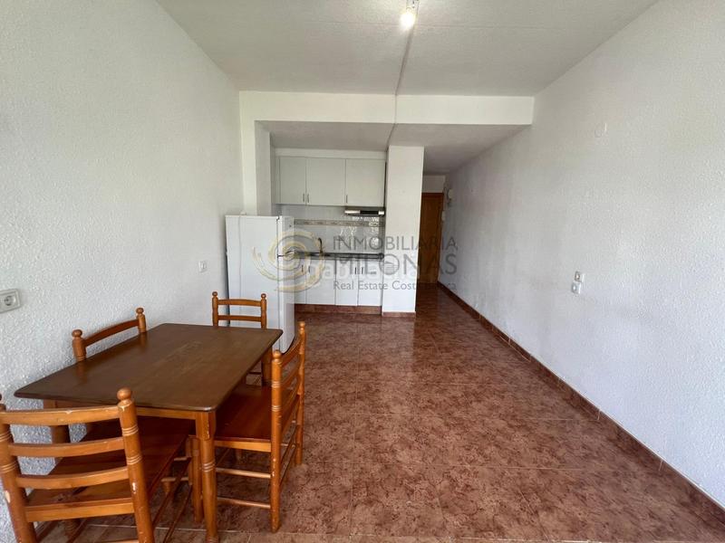 Foto 12906b8b-d093-42ab-af74-a9bc3e87c52c. Studio avec parking piscine dans Rincón Alto Benidorm