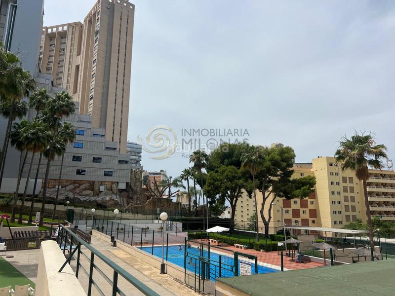 Foto 7c2cbeb4-d22b-4871-a77e-c707dc5cbccc. Studio avec parking piscine dans Rincón Alto Benidorm