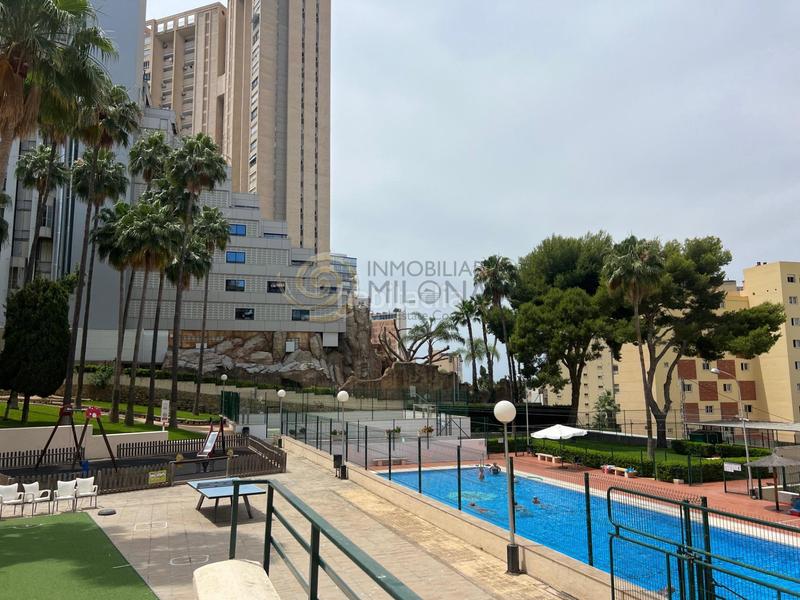 Foto ae87a851-ca56-43e5-8aff-ebb56eb7be58. Studio avec parking piscine dans Rincón Alto Benidorm