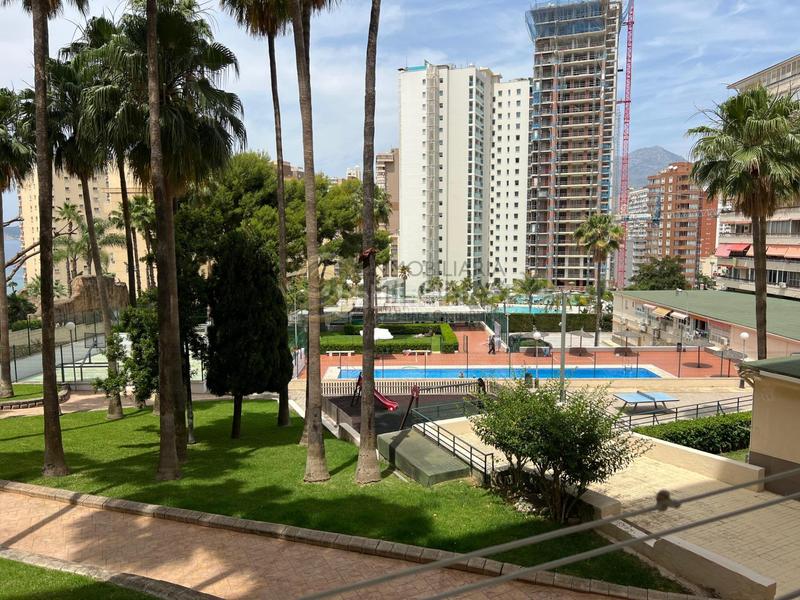 Foto e6624ce7-9faf-4ce6-9abe-8d0a11faeaa2. Studio avec parking piscine dans Rincón Alto Benidorm