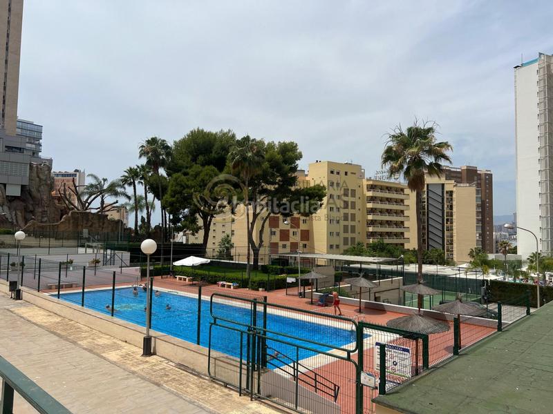 Foto ed5f3df7-81ed-407a-8d86-f6009a0a867e. Studio avec parking piscine dans Rincón Alto Benidorm