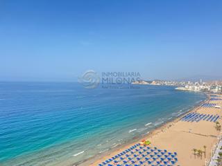 Estudi a Playa Levante. Vive el encanto de benidorm desde la primera línea de la playa l
