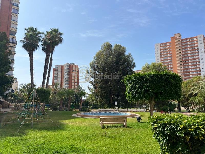 Foto 37a7c229-be94-4378-8bfc-a5e95c96966b. Apartamento vive el encanto desde tu nuevo apartamento en la playa de poniente en Benidorm