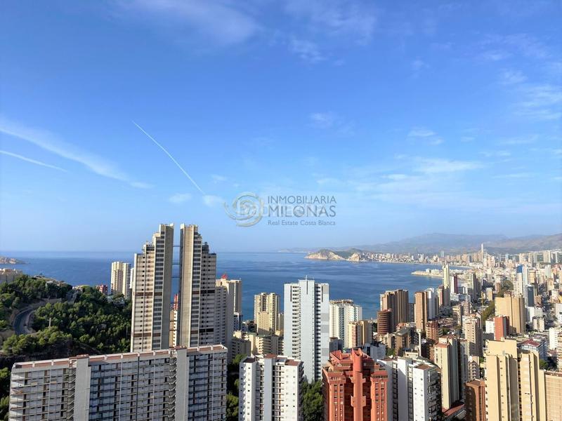 Foto ff89334d-e957-4000-bf24-2ce48580fb0a. Piccolo appartamento con riscaldamento parcheggio piscina in Benidorm