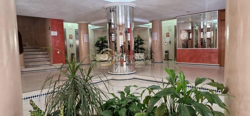 Foto 877e778c-2029-4458-bcf2-4682b887fe72. Alquiler apartamento en avenida avenida del mediterráneo 15 alquiler de temporada en Benidorm
