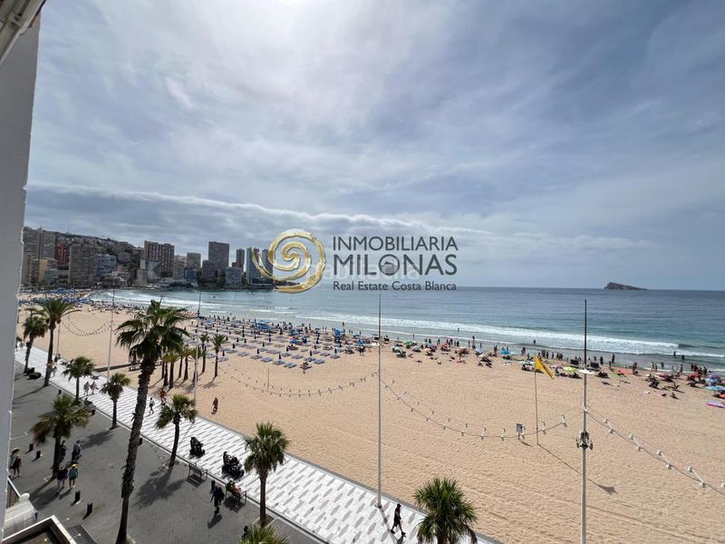 Foto a74f11c9-153a-4ea2-bee1-8427bdba02fd. Estudi amb aparcament piscina a Playa Levante Benidorm
