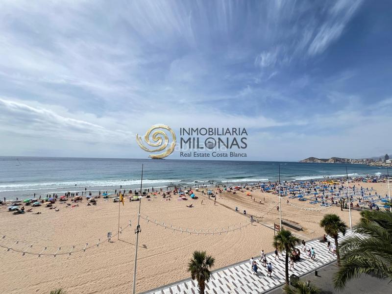 Foto b1f48718-61ed-406b-a30c-0691165a51ff. Estudi amb aparcament piscina a Playa Levante Benidorm