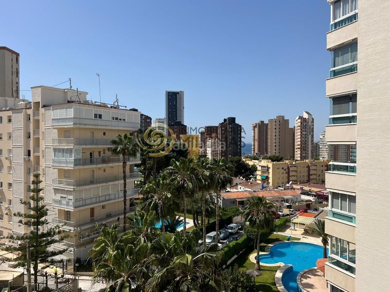 Foto b5d36be2-cf95-46a2-9281-1fa168c99cc9. Estudi amb piscina a Rincón Alto Benidorm
