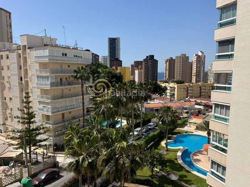 Foto e671308a-14c8-4822-9486-1aaf1def5965. Estudi amb piscina a Rincón Alto Benidorm