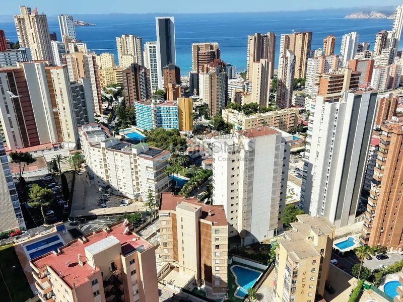 Foto f18de928-32e8-44c2-ac3f-e04ea7a40e08. Estudi amb piscina a Rincón Alto Benidorm