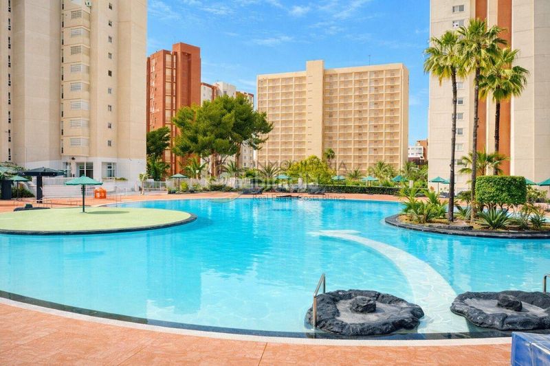 Foto 6275efc6-dfb6-407f-b46f-8d86564b8bd0. Apartament amb calefacció aparcament piscina a Rincón Alto Benidorm