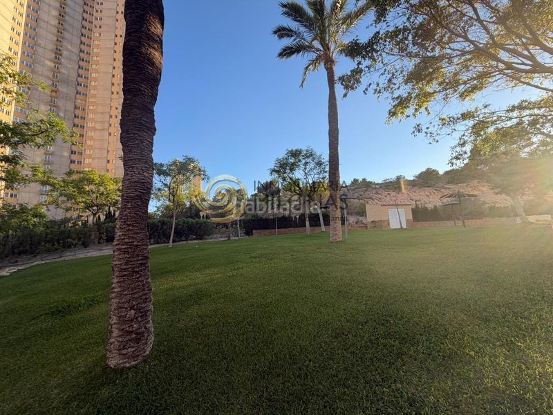 Foto ba8f4d0c-396b-4494-bb6f-700243cc0d58. Apartament amb aparcament piscina a Via Parque Benidorm