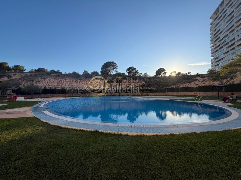 Foto f224ef21-c443-4108-b1ee-8f6bf218830c. Apartament amb aparcament piscina a Via Parque Benidorm