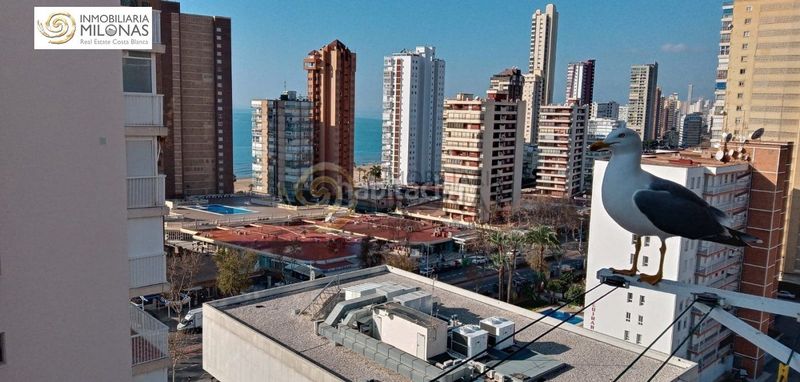 Foto 96023bd8-3779-44d0-a2fc-11e494045a91. Apartamento en calle calle gerona 48 apartamento para inversión con vistas al mar en zona llana del rincón de loix en Benidorm