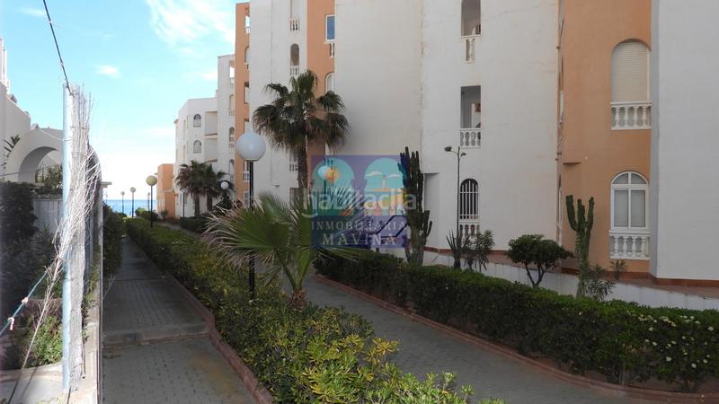 Foto 7beccc9c-5ecd-48c0-87d3-790363dad8d0. Casa adossada a urbanización alcazaba zoco2m 1 a Manga del Mar Menor (La)