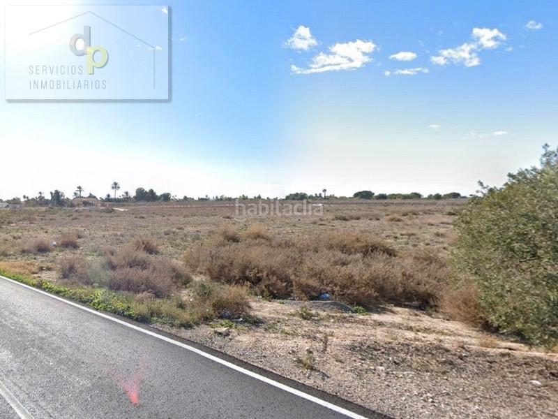 Foto 44ad8a70-872f-4077-bc11-4be5cff51a72. Alquiler finca rústica en camino de los quiles 160 en Elche / Elx
