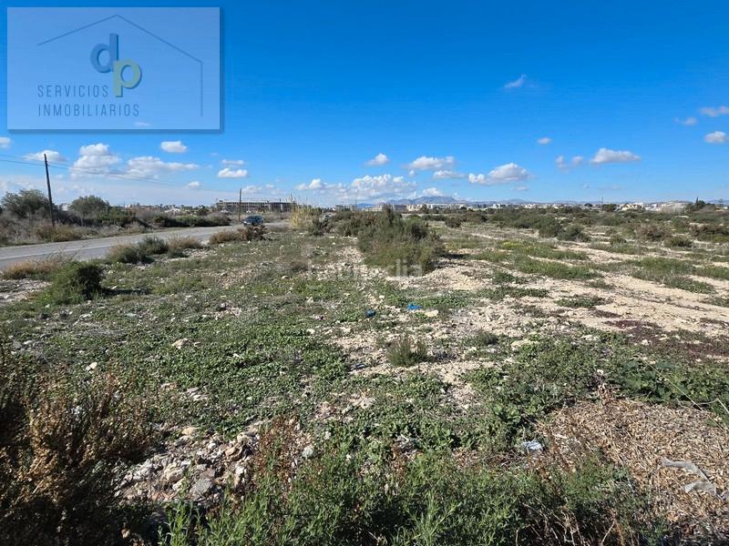 Foto 2b0c9b20-18a1-4142-ab3d-f896b20711dd. Rural plot in lugar sector e-26 9051 in El Travaló - Martínez Valero Elche / Elx