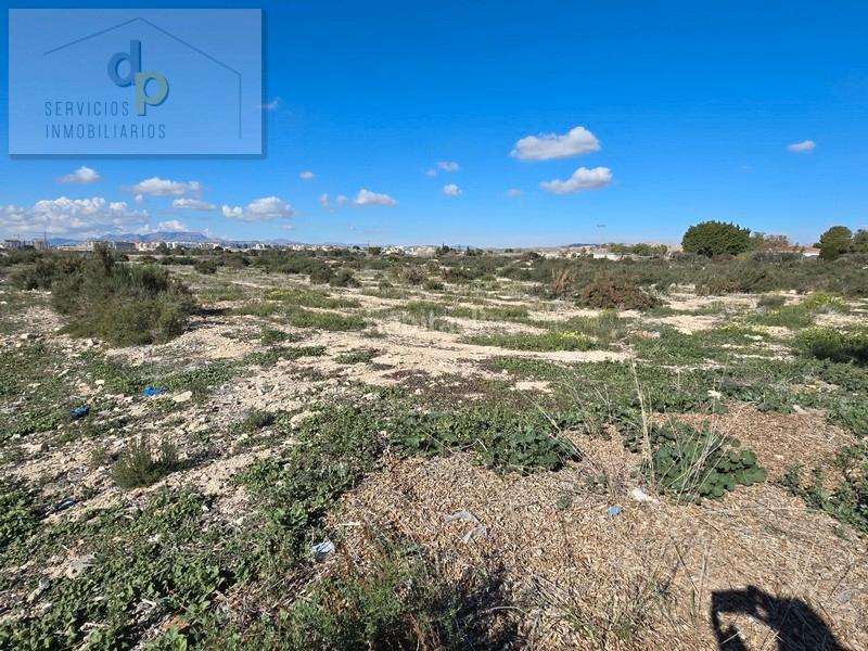 Foto 6ea18663-3817-406d-ba38-e1dd27fd3ea6. Rural plot in lugar sector e-26 9051 in El Travaló - Martínez Valero Elche / Elx