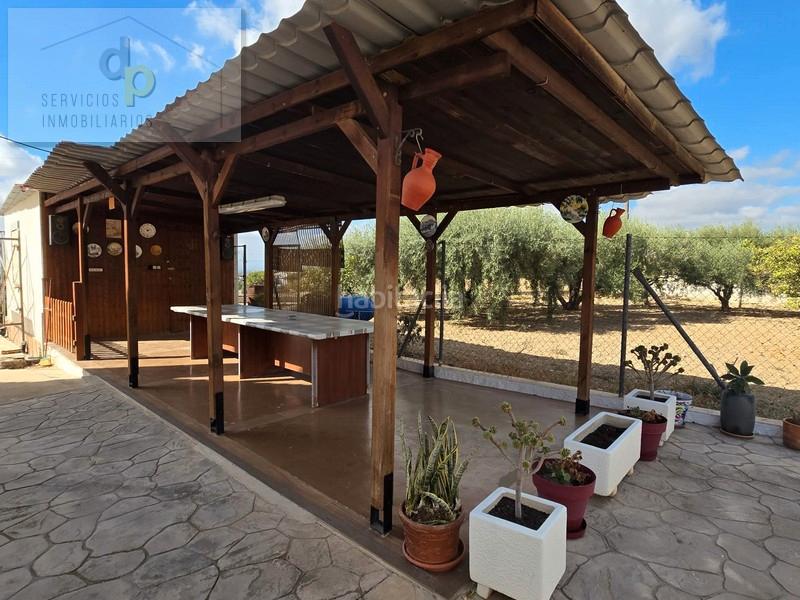 Foto 699788b4-1737-4056-be1d-05306c994eca. Chalet dans partida carrus 1151 dans Peña de las Águilas Elche / Elx