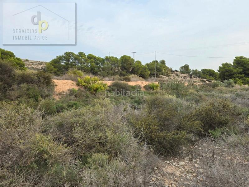 Foto 09b107bc-6578-44af-a584-56b54524d998. Fondo rustico in partida saladas 2162b in Jubalcoi Elche / Elx