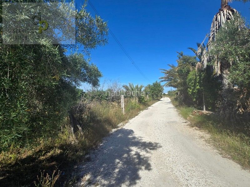 Foto 14ed2686-5945-4e49-bd95-f9eb60f65c85. Casa a n/a a Torrellano Elche / Elx