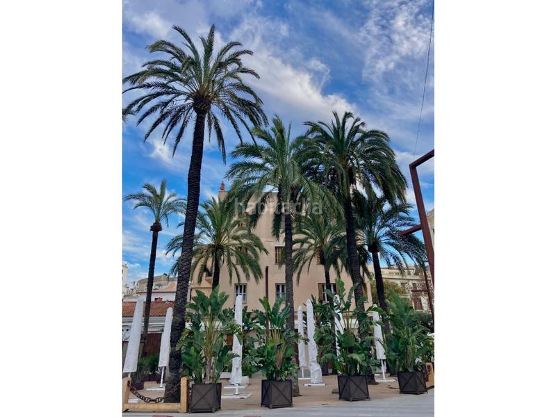 Foto edb21af8-0f1f-4f09-90bb-fbfc213e5c5e. Appartamento in S´Eixample-Can Misses Ibiza