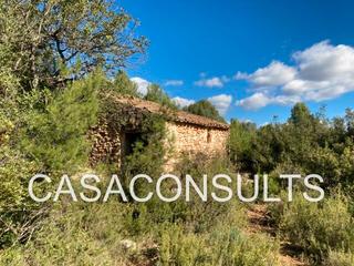 Masia a Useres (les). Masia con terreno para reformar