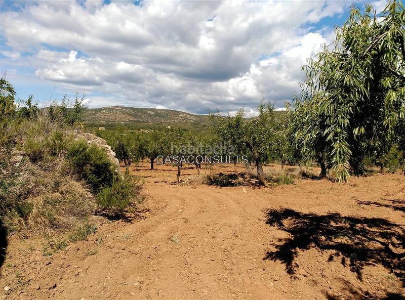 Foto 7c3060c8-41ed-4a54-a935-2bfbcafe9ab0. Masía gran masia con terreno en Useres (les)