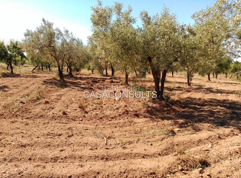 Foto f9bccef5-1b6a-4084-9e53-268d87f55423. Masía gran masia con terreno en Useres (les)