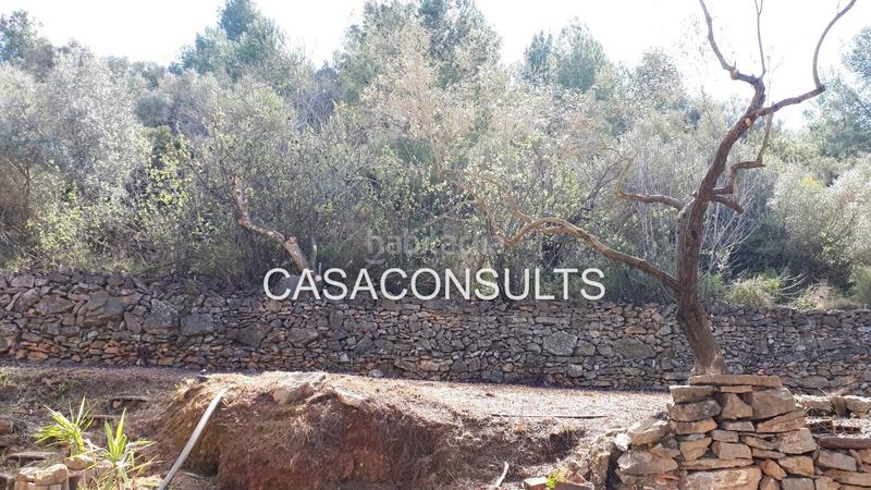 Foto 2d55ef22-c616-42d5-aa8e-20d518719604. Masia a Vilafamés