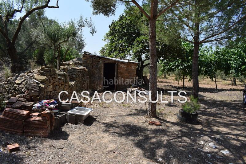 Foto 6e9f3562-bf51-4ff4-85b5-5870fe02a837. Masia a Vilafamés