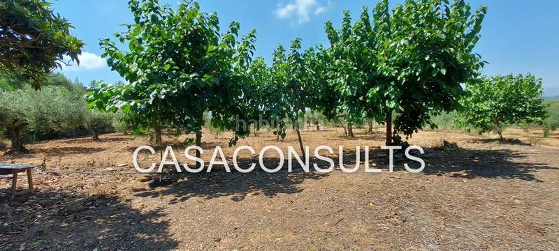 Foto bc4a3620-e99a-4674-ba23-4c251848005c. Masia a Vilafamés