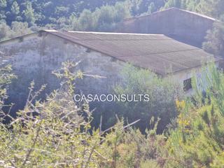 Local Comercial a Vall d´Alba. Granja de 730 mts